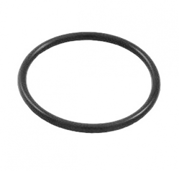 O-Ring fr Manometer-Adapter von Kieselgurfilter Perflex 
